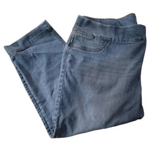 Style & Co. Blue jean Capri